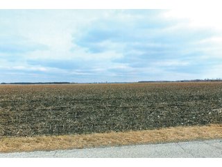 Property photo 12 - LAND AUCTION - 228+/- ACRES OFFERED IN 2 TRACTS IN JASPER COUNTY, INDIANA